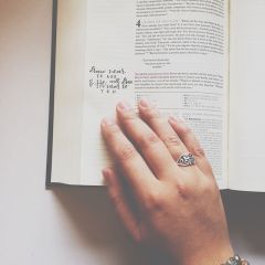 25037455_334646447032155_1797156823661281280_n