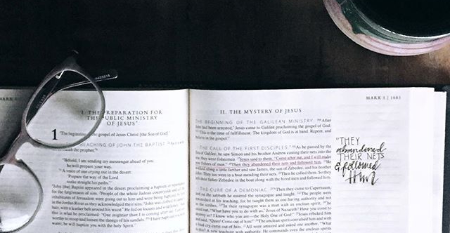 26350494_1934136056837875_2143833724662317056_n