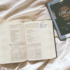 26864017_423853161385062_9026880929490010112_n