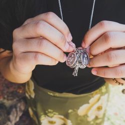 33618539_2502045896488185_3518532879279718400_n